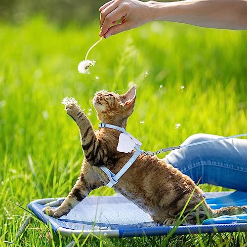 TIESOME Cat Harness and Leash Set, Adjustable Gradient Kitten Harness Escape Proof Harness with Leash for Kitty Outdoor Wa...
