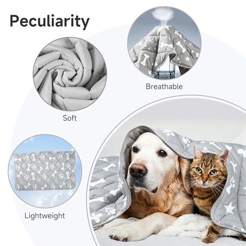 wegreeco Pet Dog Cooling Mat for Cats, Lightweight Bed Outdoor Cooling Blanket for Dogs and Cats, Small Medium Large Puppy...