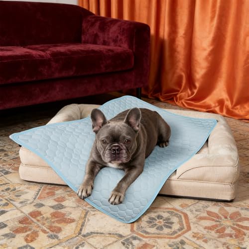 CHVOULTO Dog Cooling Mat: Anti-Slip & Washable Cooling Pad for Medium Dogs, Indoor & Outdoor Pet Cooling Blanket for Sofa,...
