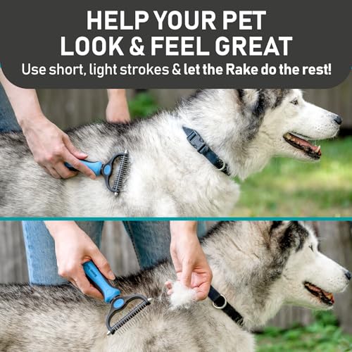 Maxpower Planet Pet Grooming Brush and 2X Grooming Gloves Combo - Double Sided Dematting, Deshedding Undercoat Rake for Do...