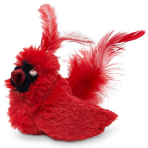 OurPets Play-N-Squeak Real Birds Interactive Cat Toys with Catnip (Cat Toys for Indoor Cats; Catnip Toy for Cats with Bird...