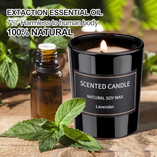 Candle Set, Holiday Scented Candle Soy Candles for Home Scented, Candle Gift Set for Women Men Holiday Candle Aromatherapy...