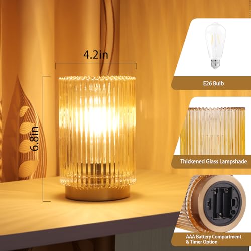 Mirasium Battery Operated Lamp, Cordless Table Lamp with Timer, Desk Bedside Lamps with LED Warm Light, Glass Small Table ...