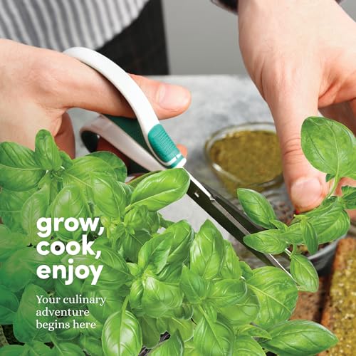 Planters' Choice 9 Herb Indoor Window Garden Kit - House Plants Seeds - Best Unique Gift Ideas for Women, Mom, Friend, He...