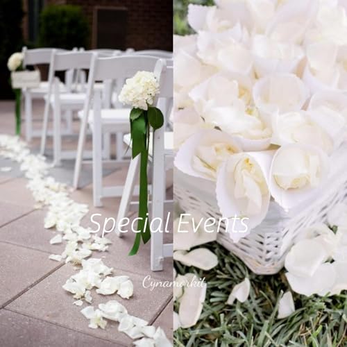 Cynamorkit Ivory Rose Petals 3300 PCS Fake Rose Petals for Wedding, Engagemengt, Proposal Decor.Artificial Flower Petals f...