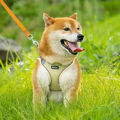 AIITLE Comfortable Dog Harness and Leash Set for Walking - Step in Vest Harness,Reflective Bands, Adjustable No Pull Puppy...