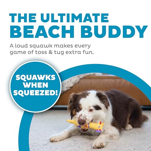 Outward Hound by Charming Pet Squawkers Henrietta Latex Squeaky Rubber Chicken Dog Toy, Funny Interactive Holiday Toy for ...