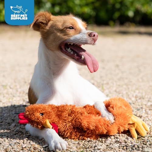 Best Pet Supplies Interactive Squeaky Dog Chew Toy, Ideal Dog Toys for Chewers, Small, Medium & Large Dogs, and Fetch Love...