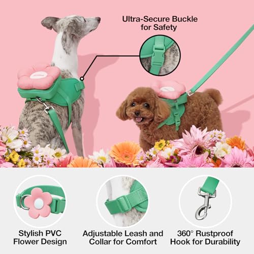 VETRESKA Flora Dog Harness, Leash and Collar Set, No Pull Dog Vest Harness for Walking and Training, Adjustable, Easy Cont...