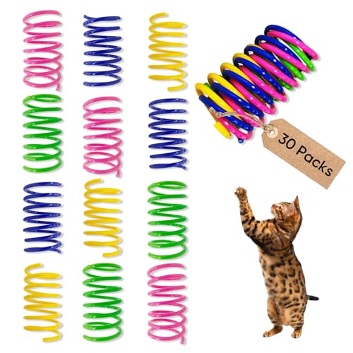 AGYM Cat Toys for Indoor Cats, 30 Pack Interactive Cat Spring Toys, Durable Colorful Plastic Spiral Springs for Kitten Hun...