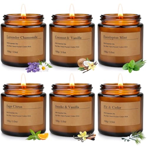 6-Pack Scented Candles for Home, 3.5 Oz Soy Wax Candles Gift Set with Lavender Chamomile & Eucalyptus Mint for Brithday Gi...