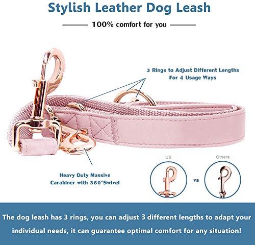 Soft Leather Dog Collar and Leash (6.6') Set - Stylish Rose Gold Heavy Duty Metal Buckle, 4 Adjustable Lengths Leash for S...