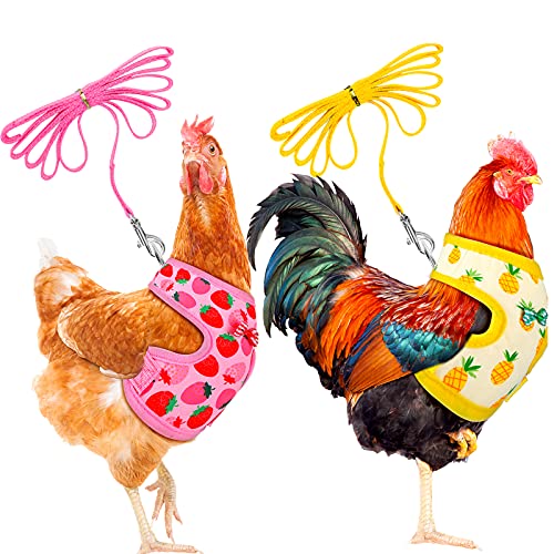Frienda 2 Pcs Adjustable Chicken Harness and Leash Set Spring Summer Comfortable Elastic Hen Vest Breathable Harness for H...