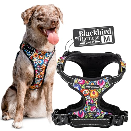 Lucky Love Dog No Pull Dog Harness, Adjustable and Easy to Walk, Cute Patterned Harness for Medium Male & Female Dogs - Bl...