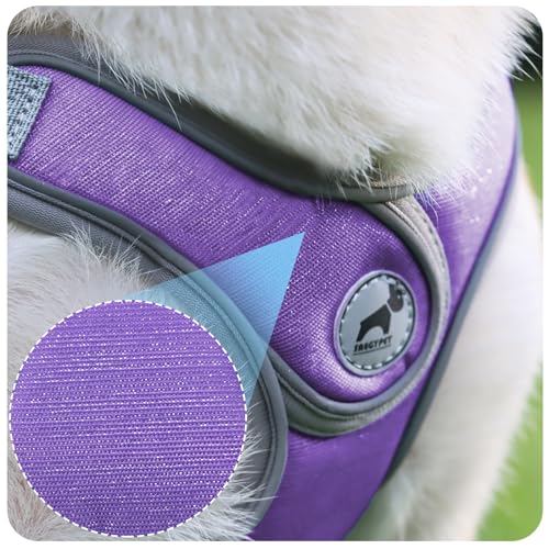 Dog Harness with Leash Set, No Pull Adjustable Step in Collars Harness with Breathable Padded Vest for Small Dogs Training...