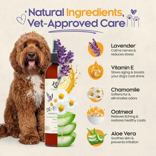 Dog Perfume Spray Long Lasting Chamomile & Lavender 8 Fl Oz, Dog Cologne Spray Long Lasting for Groomers, Calming Deodoriz...