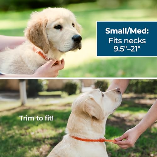 Wondercide Dog Collar - Flea, Tick, and Mosquito Repellent for Dogs - with Natural Essential Oils - Up to 4 Months Protect...