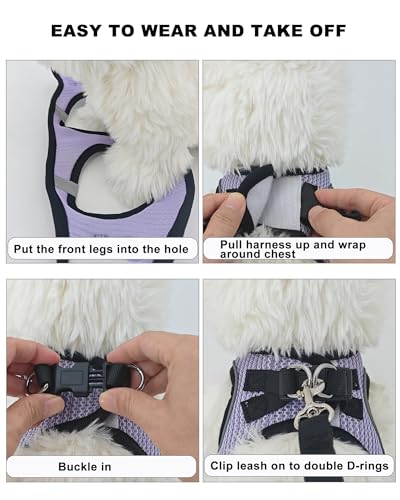VernAlly Dog Harness Small Sized and Leash Set, Step in Soft Light Puppy Vest, Breathable Mesh Pet Harness Suitable for Pu...