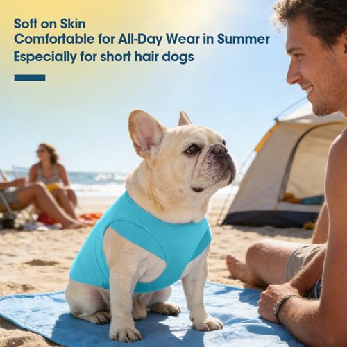 ROZKITCH 2 Pack Cooling Dog Shirt, Breathable Sun Protection T-Shirts, Pet Summer Vest, Quick Dry Dog Summer Clothes Beach...