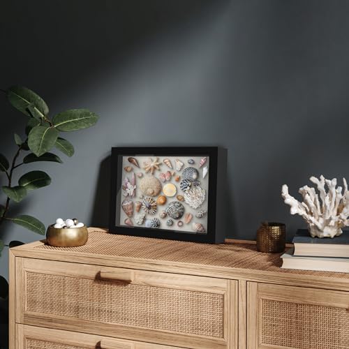 Americanflat 8.5x11 Shadow Box Frame with Shatter-Resistant Glass - Silhouette Collection - Large Shadow Box Display Case ...