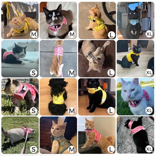 BINGPET Cat Harness and Leash Set Escape Proof, Fashionable Adjustable Mesh Harness for Walking, Soft Cute Breathable Easy...
