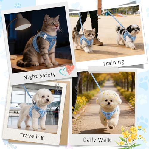 Gyuzh Dog Harness and Leash Set for Puppies - 3 Pieces Step in No Pull Vest & Collar, Extra Small Kitten Harness, Breathab...