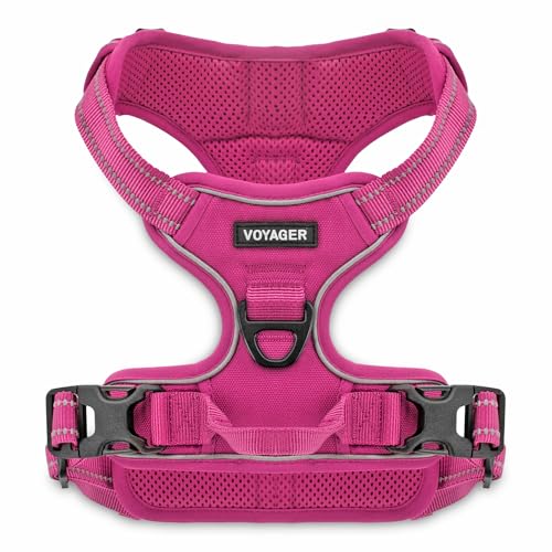 Voyager Dog Harness Dual Leash Attachment No-Pull Control Adjustable Soft but Strong Pet Harness for Medium and Large Dogs...