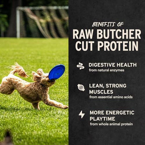 Vital Essentials Freeze Dried Dog Treats | Chicken Breast, Single Ingredient | Premium Quality | Grain Free Training Treat...