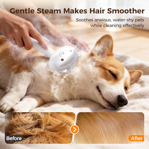 Self Cleaning Shedding Steam Cat Brush, Silicone Scraper Included Dog Brush, Adorable Bear Design, primecat, Cat Brushes f...
