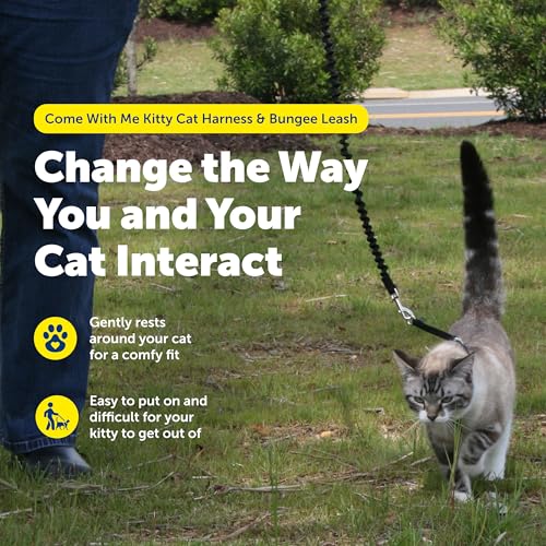 PetSafe Come with Me Kitty Harness and Bungee Leash, Large, Black