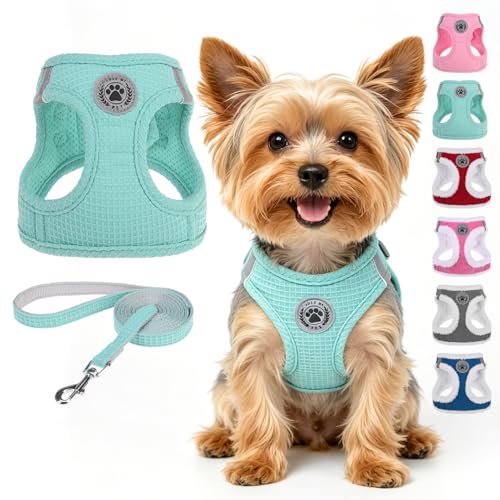 BEAUTYZOO Waffle Dog Harness Small Sized, No Pull Small Dog Harness and Leash Set, All Weather Soft Mesh Light Harness for...