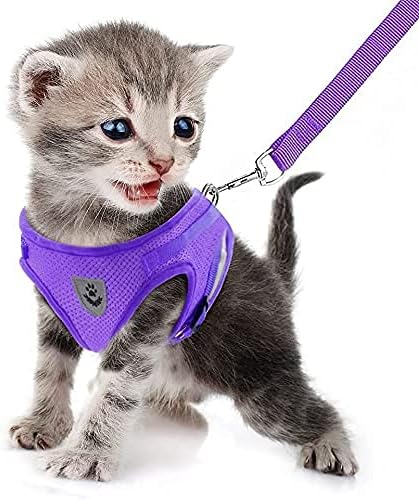 FEimaX Dog Harness and Leash Set for Walking, Soft Mesh Adjustable Easy Control Lightweight Cat Vest Harnesses with Reflec...