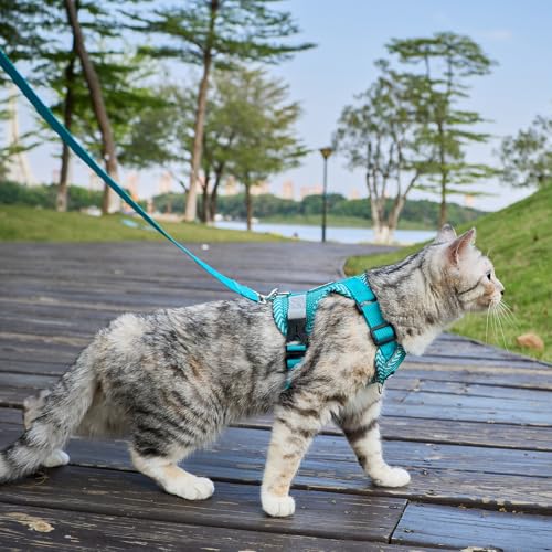 pangdi Cat Harness and Leash Escape Proof Extra Large Kitten Harness Maine Coon Cat Vest for Walking Travel, Turquoise, XL