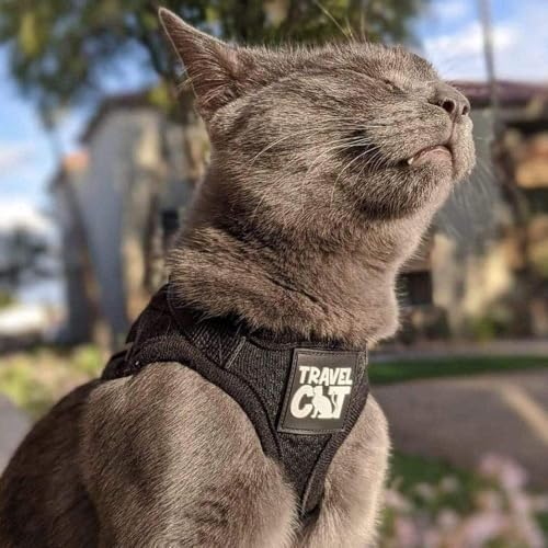 Travel Cat Harness and Leash Set - Adjustable Fit Mesh Cat Harness and Reflective Strap - Comfort Walking Vest for Kitten ...