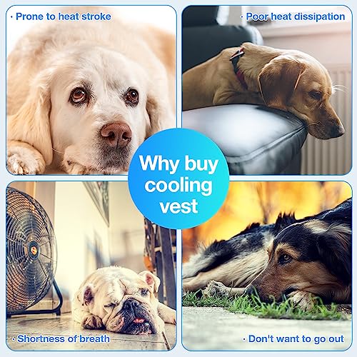 COMFPET Dog Cooling Vest, Lightweight Cooling Vest for Small Dogs (44-66lbs), Adjustable and Comfortable Cooling Jacket - ...