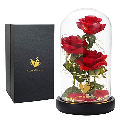 Dream of Flowers Mother Day Enchanted Red Gifts for Mom,Beauty and The Beast Rose in Glass Dome,Anniversary Rose Gifts for...