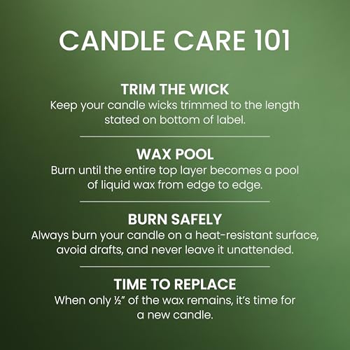 Yankee Candle Balsam and Cedar, Scented Candle, 14.5oz 3-Wick Candle Jar with up to 40 Hours Burn Time, Giftable