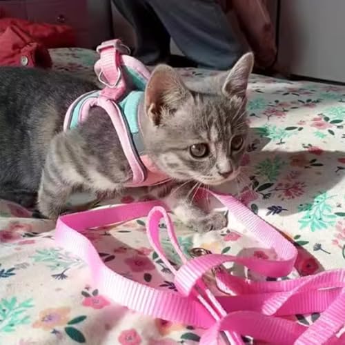 Anelekor Bunny Harness and Leash Set Reflective Strip Kitten Vest Harness Escape Proof Rabbit Leash Walking Pet Accessorie...