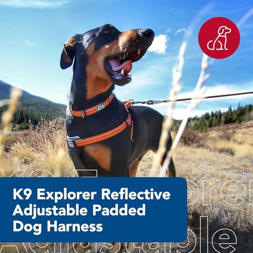 Coastal Pet K9 Explorer Reflective Adjustable Padded Dog Harness - Plush Chest Pad for Comfort - No-Pull Dog Harness for S...