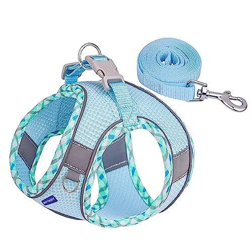 BTDCFY Step in Mesh Dog Harness and Leash Set - Breathable Air Mesh Reflective Escape Proof Dog Harness Vest - No Choke, L...