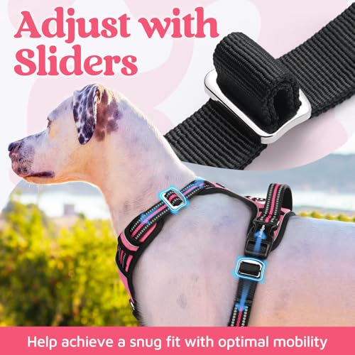 rabbitgoo Dog Harness for Large Dogs, No Pull Pet Vest with 3 Buckles, Adjustable Soft Padded Pet Harness with Easy Contro...
