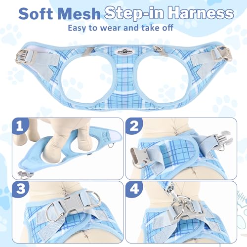 Gyuzh Dog Harness and Leash Set for Puppies - 3 Pieces Step in No Pull Vest & Collar, Extra Small Kitten Harness, Breathab...
