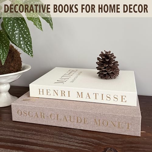 RolenBox Decorative Books for Home Decor, Coffee Table Decor with Linen White Books Stack Bookshelf, Fake Book Double as L...