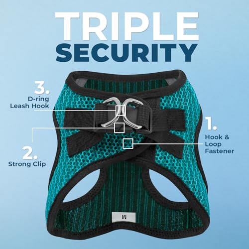 Best Pet Supplies Voyager Step-in Air All Weather Mesh Harness and Reflective Dog 5ft Leash Combo with Neoprene Handle, fo...