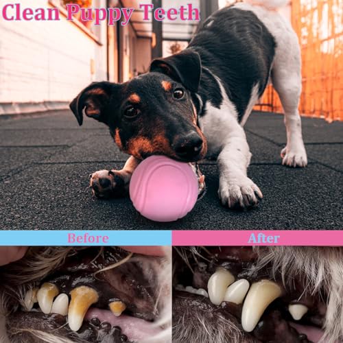 PawsAion Puppy Toys Set - 20 Pack Pink Dog Chew Toys for Teething Small Breeds - Tough Rope Toys for Puppies, Cute Soft Ru...