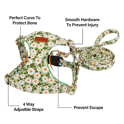 CHEDE No Pull Floral Pattern Dog Harness- Lightweight and Soft, Adjustable Small Dog Harness and Leash Set, with Dog Leas...