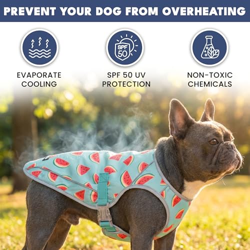 Spark Paws Dog Cooling Vest - SPF 50 UV Sun Protection - Summer Heat Relief Gear for Dogs, Lightweight, Evaporative Coolin...