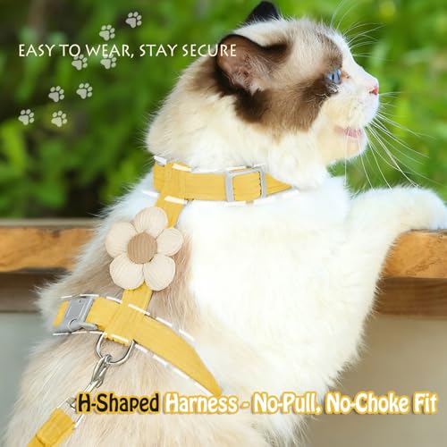 LeLehome Cat Harness and Leash Set Escape Proof Comfortable Lightweight Adjustable Strap for Walking, Travel, Kitten, Pupp...