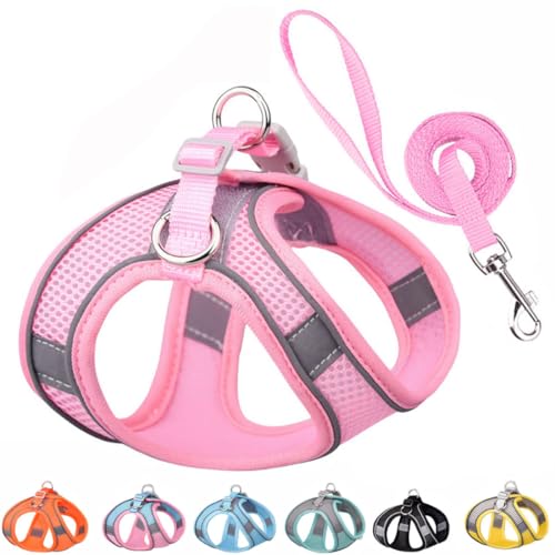 Small Dog Harness and Leash Set, No-Pull Puppy Harness for Outdoor Walking, Breathable Mesh Reflective Cats Vest for XXS X...