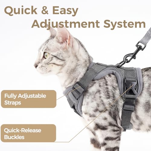 pangdi Cat Harness and Leash Set Escape Proof Tactical Extra Large Kitten Harness Emotional Support Cat Vest, Grey, XL